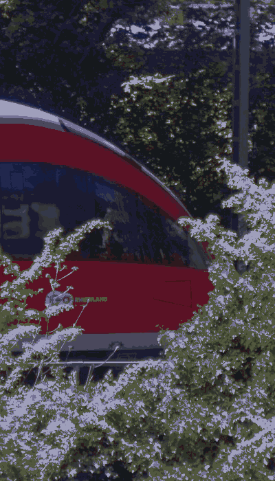 There should be a train video here :'(