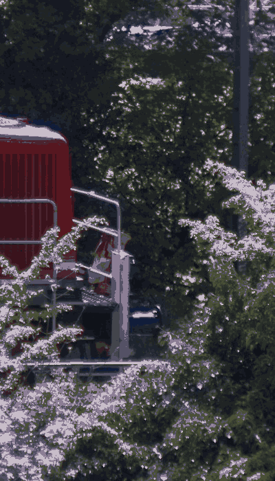 There should be a train video here :'(