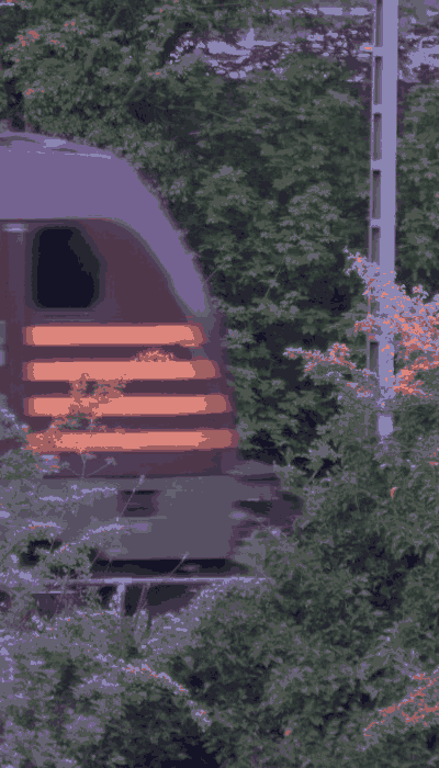 There should be a train video here :'(