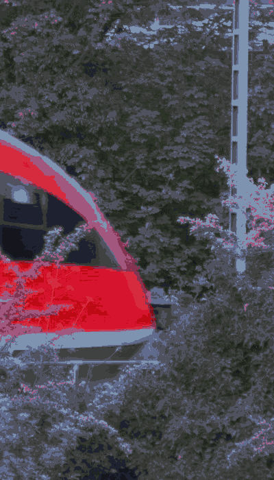 There should be a train video here :'(