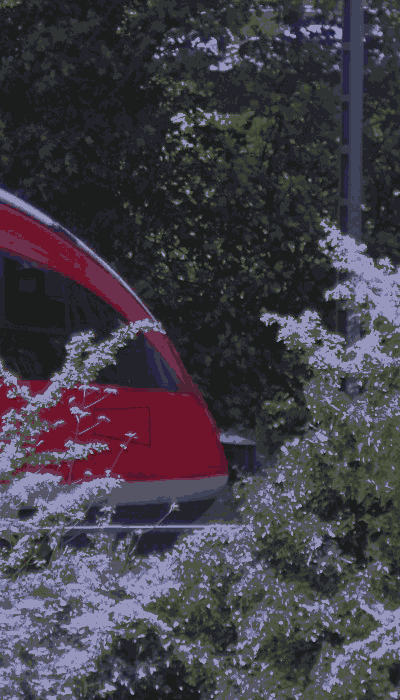 There should be a train video here :'(