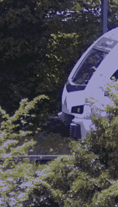 There should be a train video here :'(