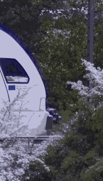 There should be a train video here :'(