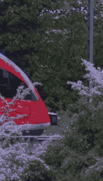 There should be a train video here :'(