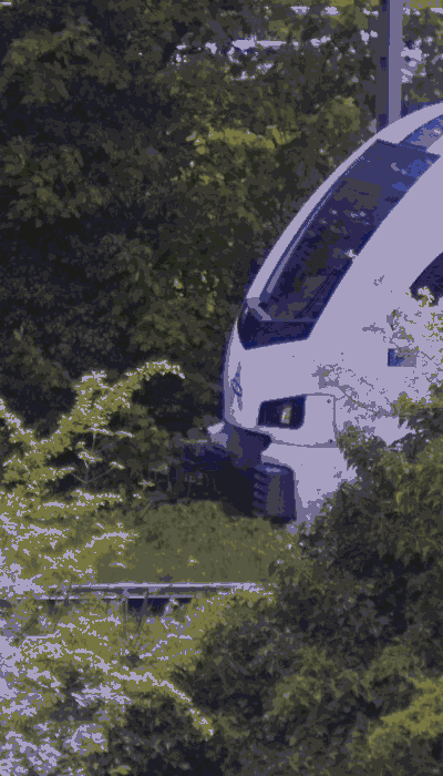 There should be a train video here :'(