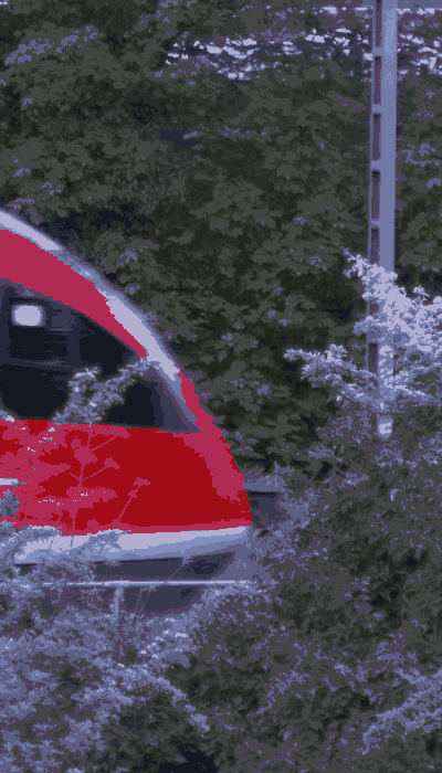 There should be a train video here :'(