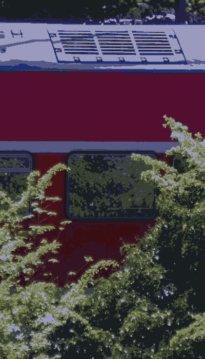 There should be a train video here :'(