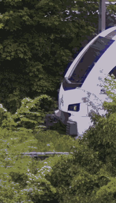 There should be a train video here :'(
