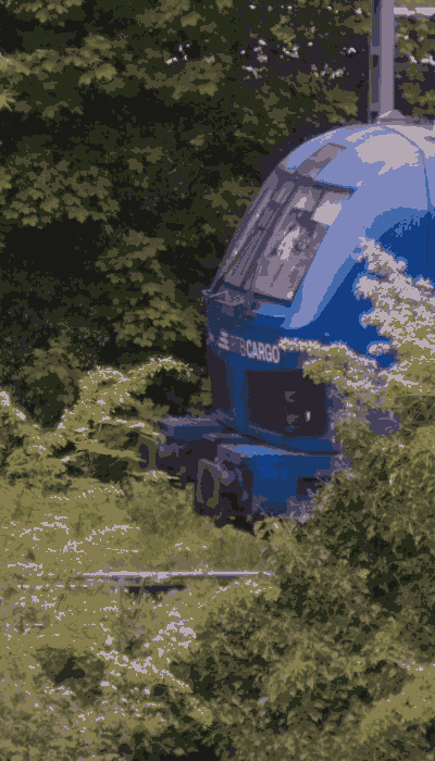 There should be a train video here :'(