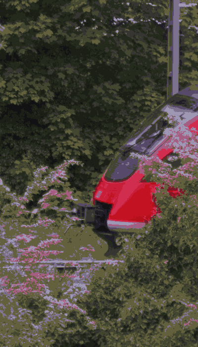 There should be a train video here :'(