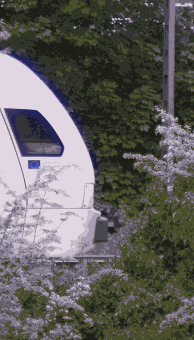 There should be a train video here :'(