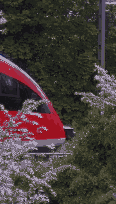 There should be a train video here :'(
