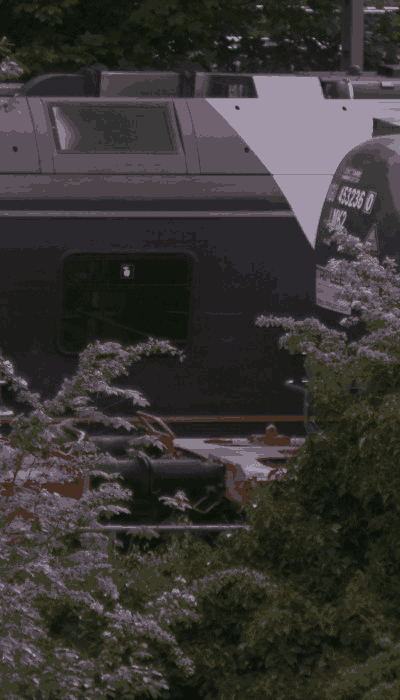 There should be a train video here :'(