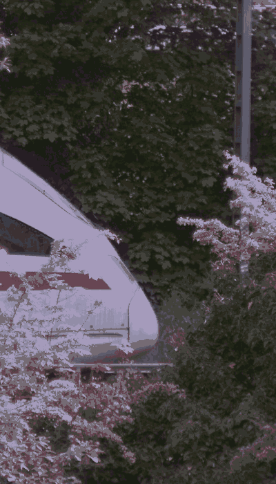 There should be a train video here :'(