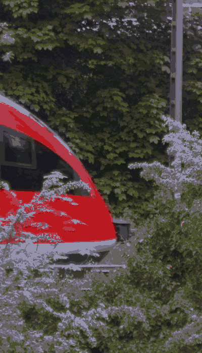 There should be a train video here :'(