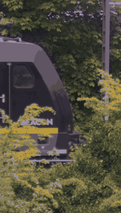 There should be a train video here :'(