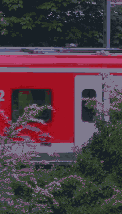 There should be a train video here :'(