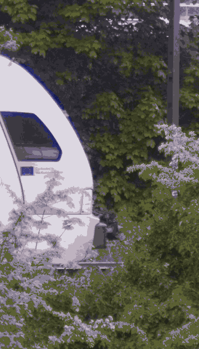 There should be a train video here :'(