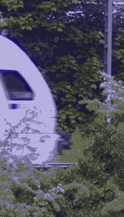 There should be a train video here :'(