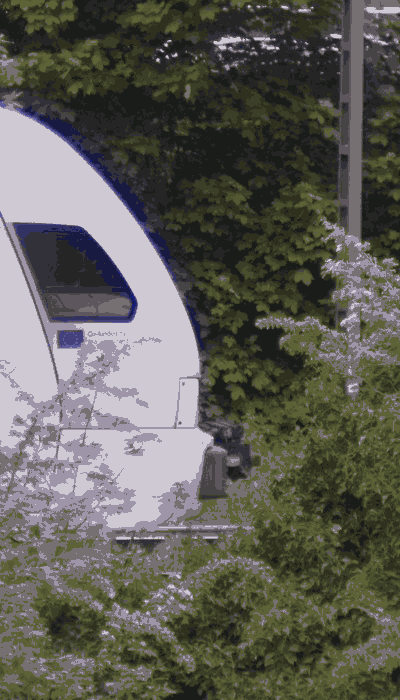 There should be a train video here :'(