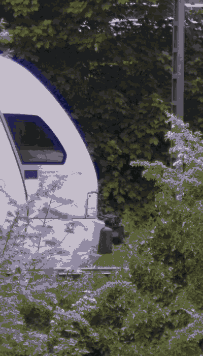 There should be a train video here :'(