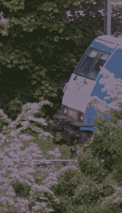 There should be a train video here :'(