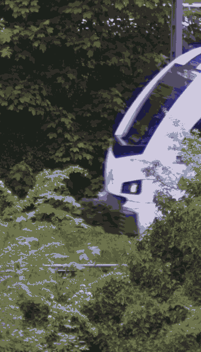 There should be a train video here :'(