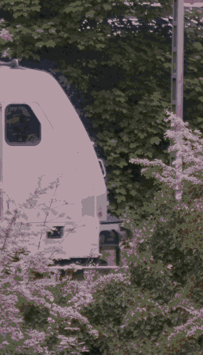 There should be a train video here :'(