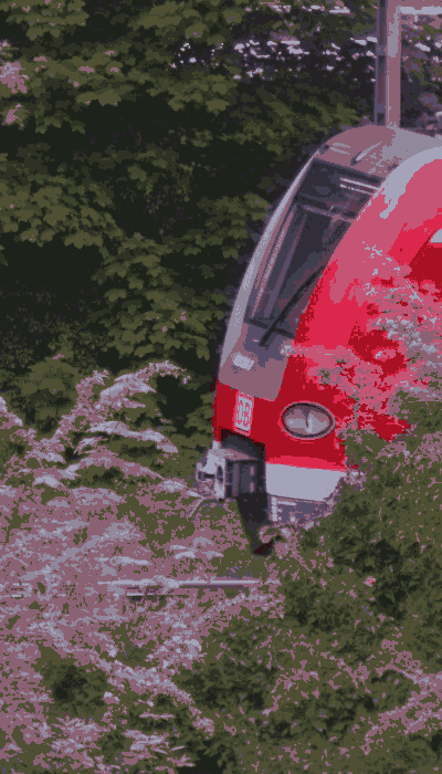 There should be a train video here :'(