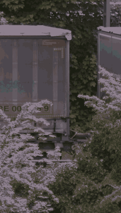 There should be a train video here :'(