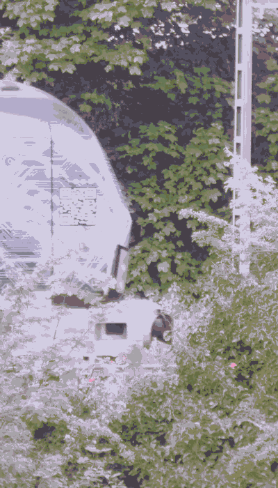 There should be a train video here :'(