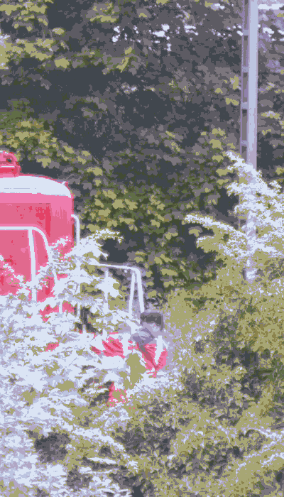 There should be a train video here :'(