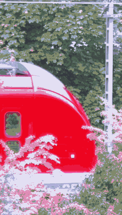 There should be a train video here :'(