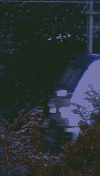 There should be a train video here :'(