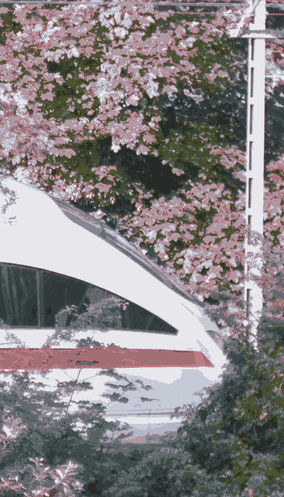 There should be a train video here :'(