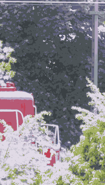 There should be a train video here :'(