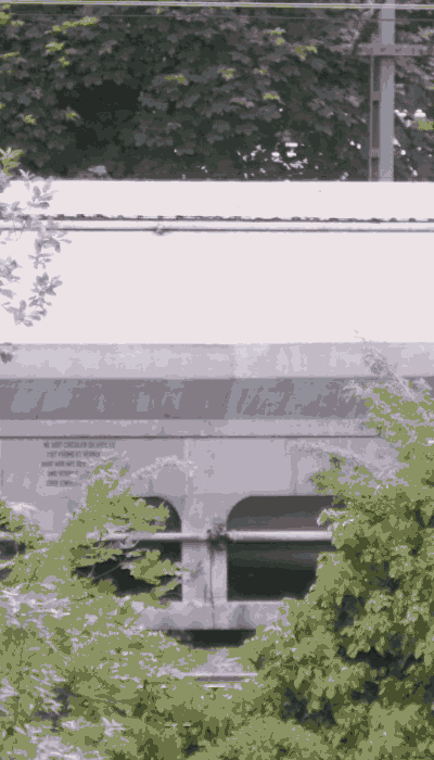 There should be a train video here :'(
