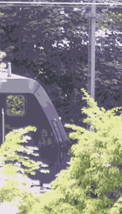 There should be a train video here :'(