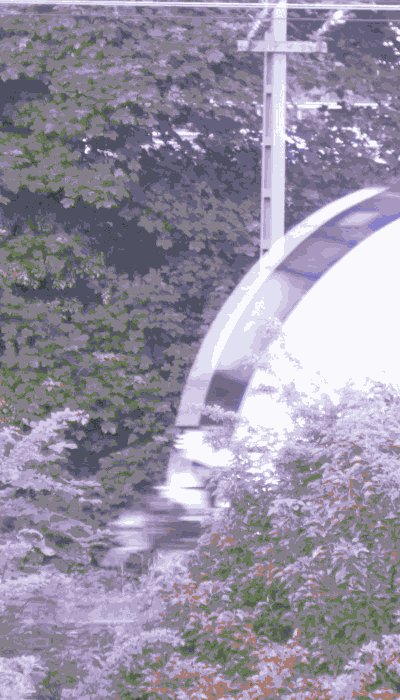 There should be a train video here :'(