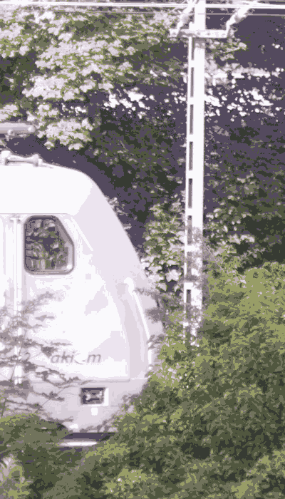 There should be a train video here :'(