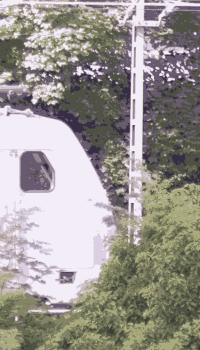 There should be a train video here :'(